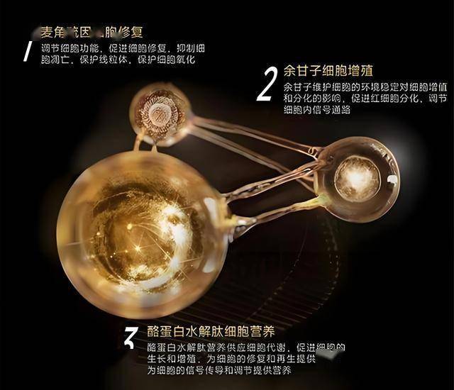 旭阳资源荣登2024河北省民营公司三个百强榜